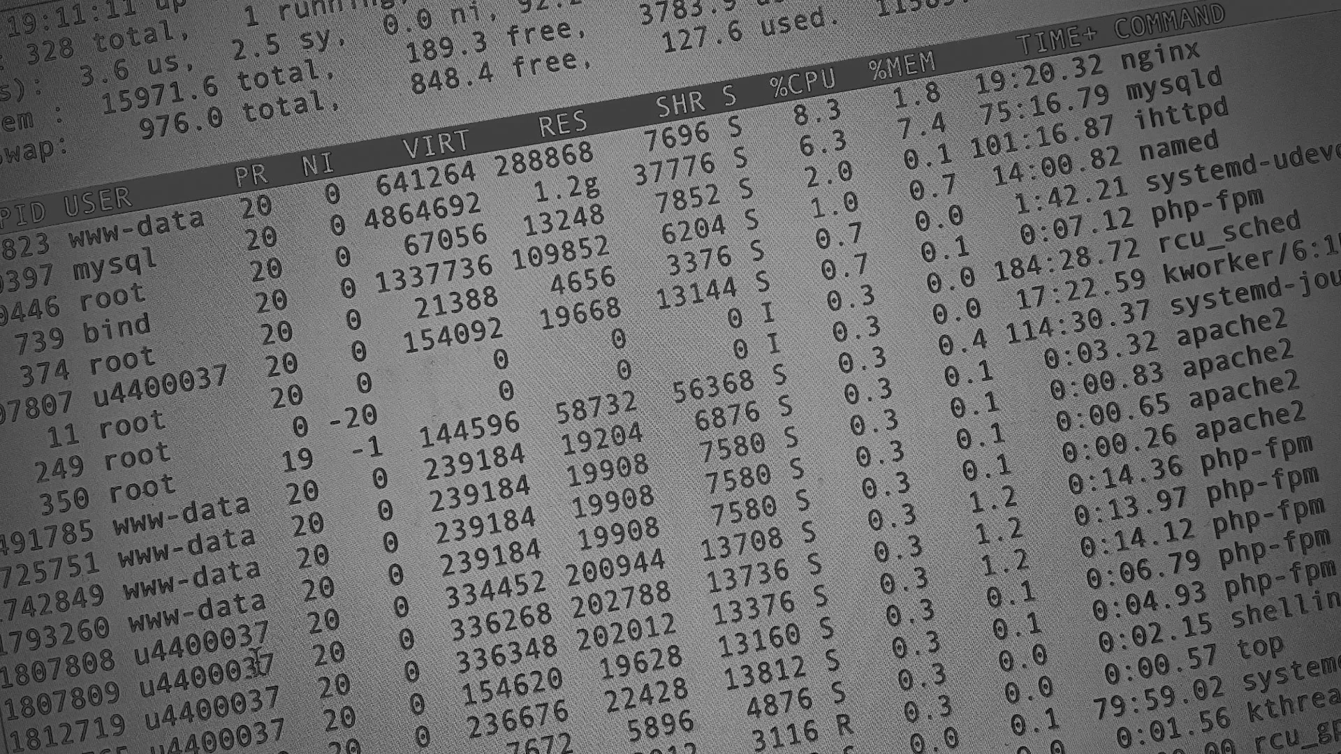 Настройка сервера в Кингисеппе