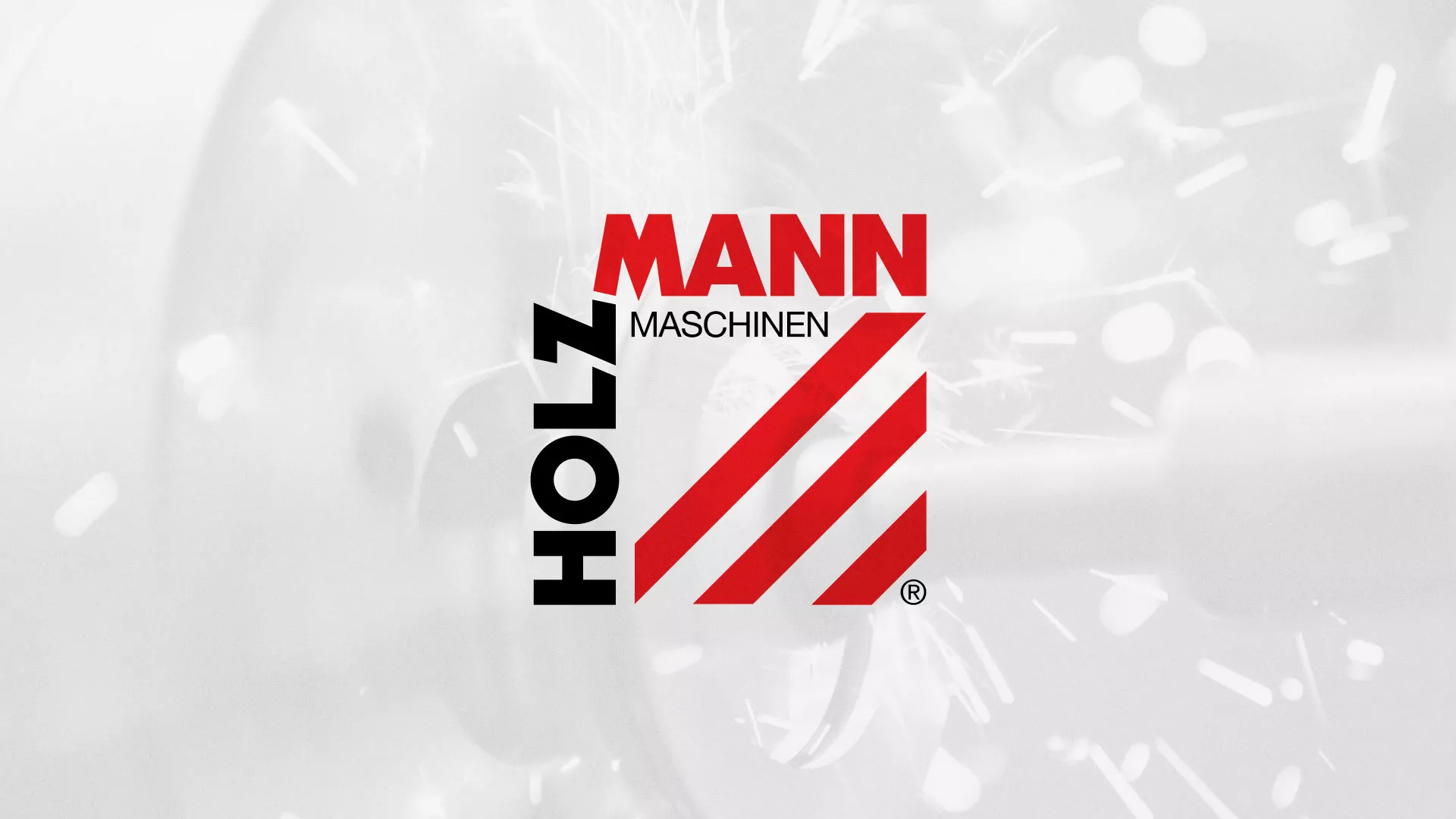 Создание сайта компании «HOLZMANN Maschinen GmbH» в Кингисеппе