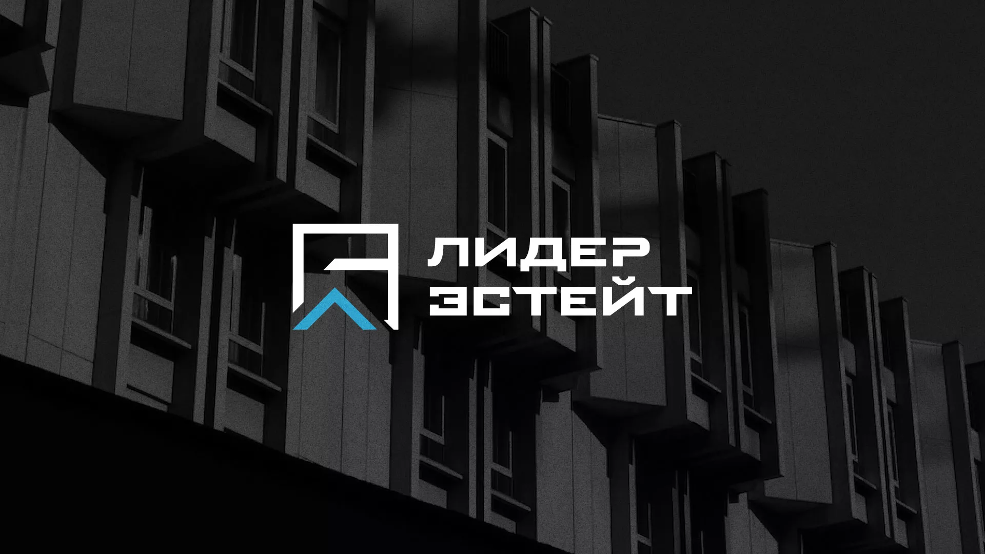 Разработка логотипа агентства недвижимости «Лидер Эстейт» в Кингисеппе